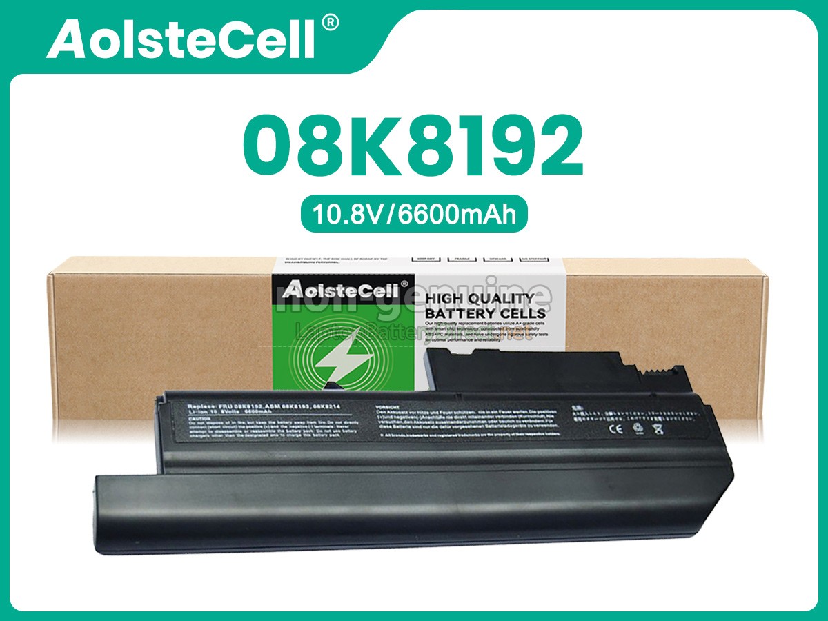 replacement IBM 92P1065 battery